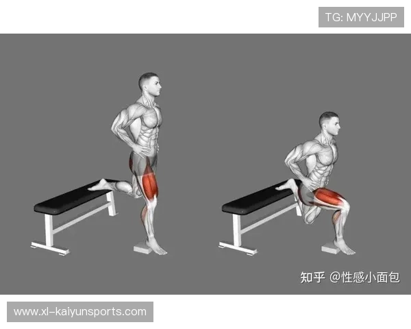 运动员的“深蹲重量:力量数据的江湖排名 运动员的“深蹲重量:力量数据的江湖排名